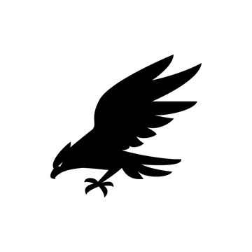 eagle icon illustration