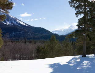 Winter panorama of the mountain with valleys and forest.