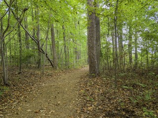 north carolina USA nature  parks