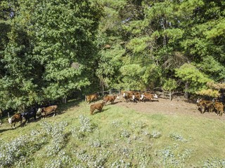 north carolina USA nature  parks