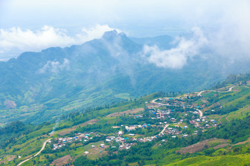 Fototapeta premium Phu Tub Berk mountain with mist, Thailand