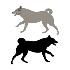 dog vector illustration flat style black silhouette