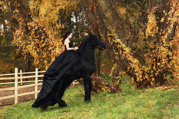 A girl in a black evening dress jumps on a Friesian horse
