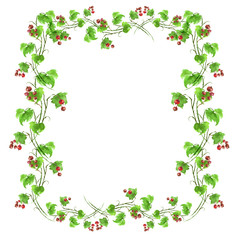     Watercolor element, postcard, frame, invitation for design. Green branch with berries of red currant, leaves on white isolated background. Watercolor illustration for your design. 