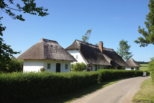Reetdachhaus im Dorf Siggeneben , Ostholstein, Schleswig-Holstein