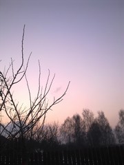 Obraz premium A pink sunset. (The Vast Russia! Sergey, Bryansk.)