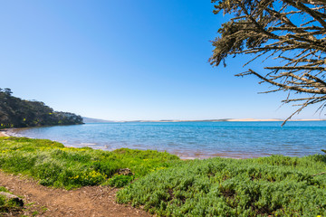Morro Bay State Park, Morro Bay State Marine Reserve, Los Osos, California, USA