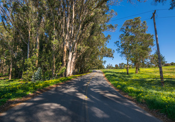 Morro Bay State Park, Morro Bay State Marine Reserve, Los Osos, California, USA