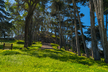 Morro Bay State Park, Morro Bay State Marine Reserve, Los Osos, California, USA