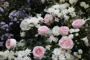 Pink Roses and White Flowers