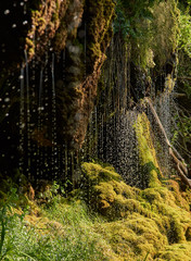 waterfall in the sunlight