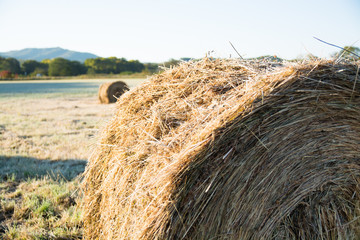 Farmland with haystacks in autumn.