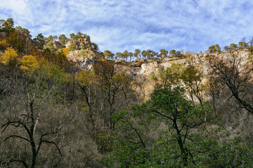A row of trees at the very top of the cliff above the slope covered with autumn trees