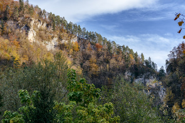 Fototapeta na wymiar A row of trees on top of a cliff and an autumn landscape