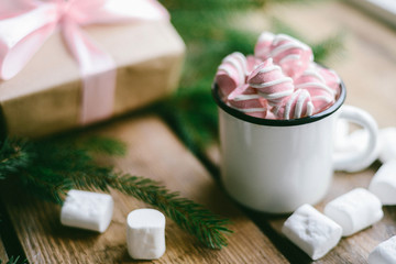 Obraz na płótnie Canvas hot chocolate with mini marshmallows cinnamon winter drink