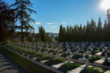 white military crosses set in equal rows against the background of summer green and full sun