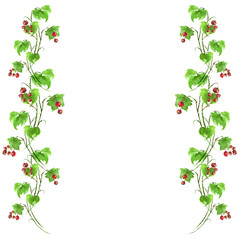     Watercolor element, postcard, frame, invitation for design. Green branch with berries of red currant, leaves on white isolated background. Watercolor illustration for your design. 