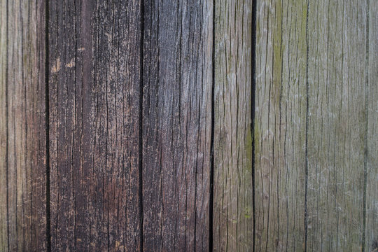 The wood wall texture surface image close up.