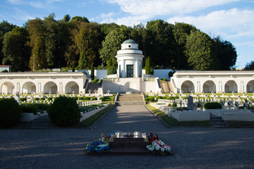 white military crosses set in equal rows against the background of summer green and full sun