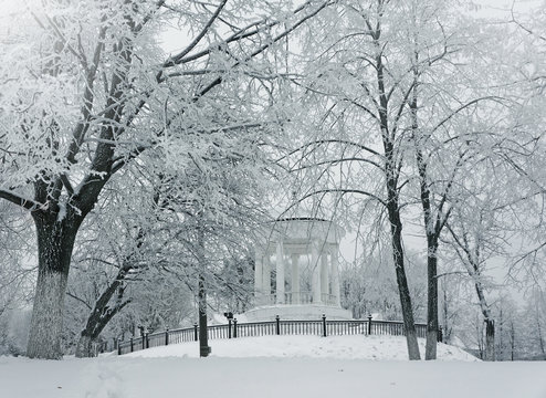 Winter nature, pavilion and snowy trees in park