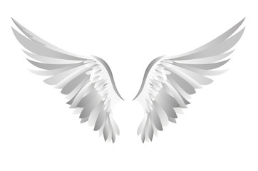 Fototapeta na wymiar Wings. Vector illustration on white background. Black and white 