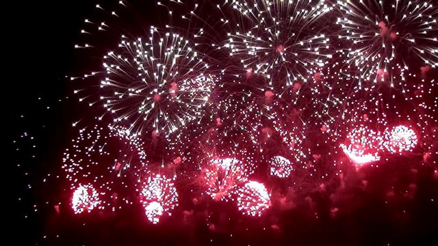 Firework display at night on black background. Bright red green yellow explosions. Amazingly beautiful. Salute for new year, Christmas and other holidays. Macro video closeup footage 50p.