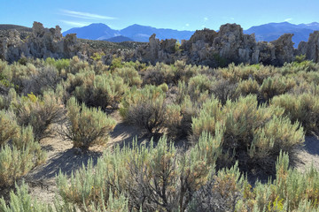 &lsquo;Tufa&rsquo; rock formations at Mono Lake, California.