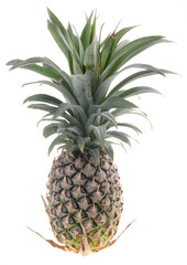 Obraz premium Pineapple, Pineapple tropical fruit on background