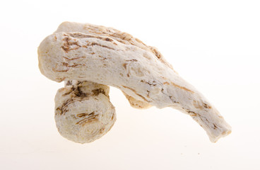 dang gui, angelica sinensis, traditional herbal medicine