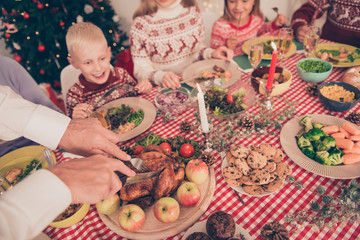 Close up croppes shot of man`s hands cutting delicious stuffed small turkey with fork and knife, pine cones, carrots, broccoli, tomatoes, cookies, corn, peas, excited amazed kids faces