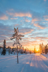 Snowy landscape at sunset, frozen trees in winter in Saariselka, Lapland, Finland