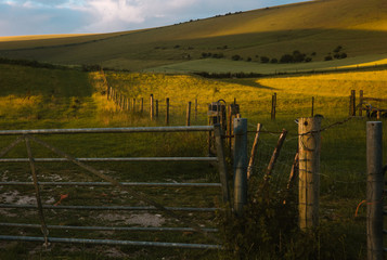 Setting sun casts long shadows on fenced hills in front of a farm gate. East Sussex, England.