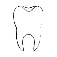 healthy tooth with root in monochrome blurred silhouette