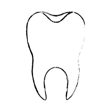 healthy tooth with root in monochrome blurred silhouette