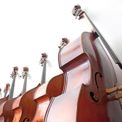 row of double basses leaning against a wall on square picture
