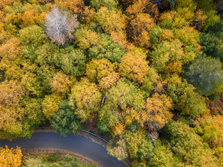 Road to volcano Etna in Autumn