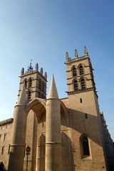 Fototapeta na wymiar Cathédrale Saint-Pierre de Montpellier, France