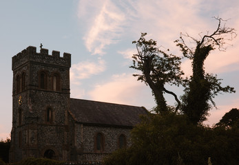 St. Laurence church and a twisted tree at twilight in Falmer, England.