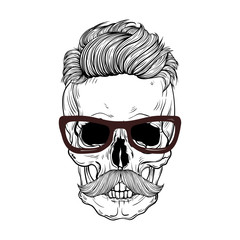 hand drawn anatomy skull with mustashes and hair . Vector