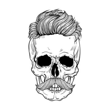 hand drawn anatomy skull with mustashes and hair . Vector
