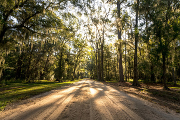 The back roads of South Carolina is where one can escape the daily stress of life.  - 178938275