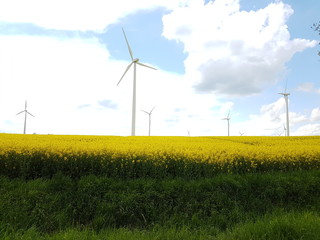 wind power / on shore wind power