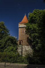 Fototapeta na wymiar zamek, forteca 