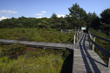 Naturlehrpfad im Steinhuder Meer