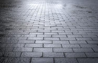Wet paving stones.