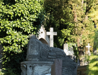 gray gravestone with cross surrounded by greenery and warm sunshine shining from behind the trees