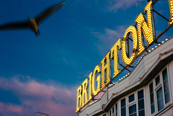 Seagulls fly around a sign for Brighton, UK.