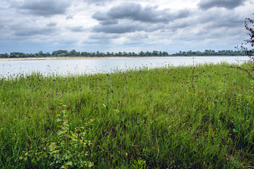 Fototapeta na wymiar Vistula River bank near Warsaw in Poland