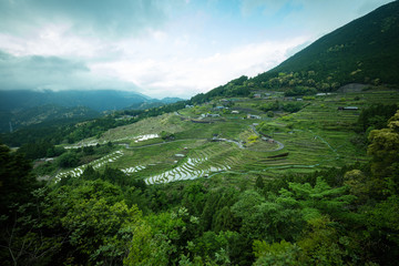 丸山千枚田