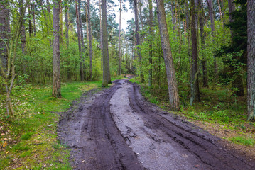 Dirt road near small Baltic Sea village Pobierowo in Poland